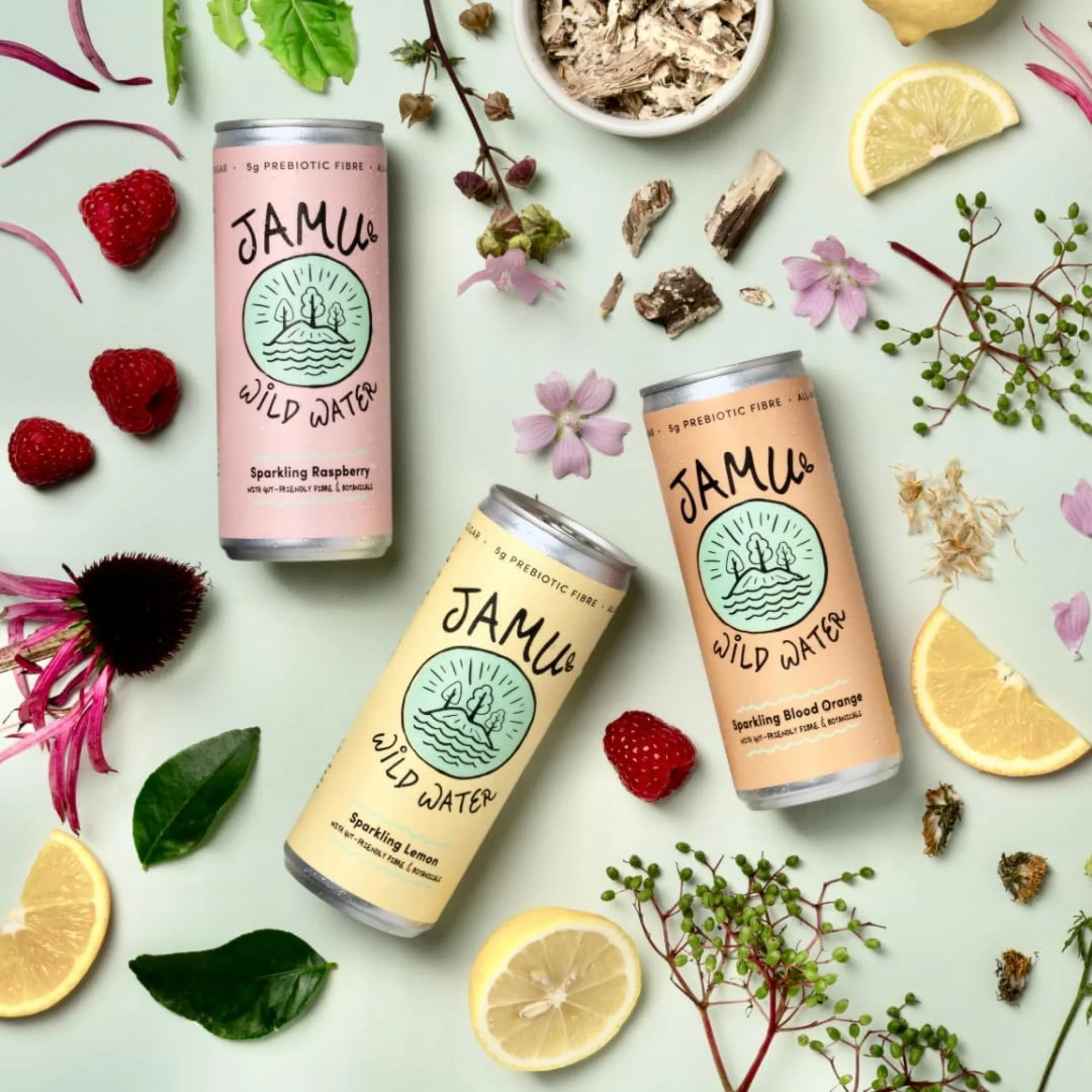 Jamu Wild Water Sparkling Mixed Flavours Multipack - Image 2